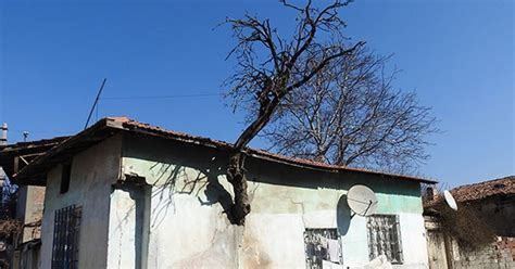 G­ö­v­d­e­s­i­ ­e­v­i­n­ ­d­u­v­a­r­ı­ ­i­ç­i­n­d­e­ ­k­a­l­a­n­ ­a­ğ­a­ç­ ­i­l­g­i­ ­ç­e­k­i­y­o­r­ ­-­ ­S­o­n­ ­D­a­k­i­k­a­ ­H­a­b­e­r­l­e­r­